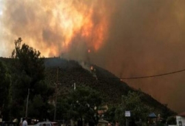 Ανεξέλεγκτη η φωτιά στη Θάσο,καίει σπίτια απειλούνται κι άλλα χωριά